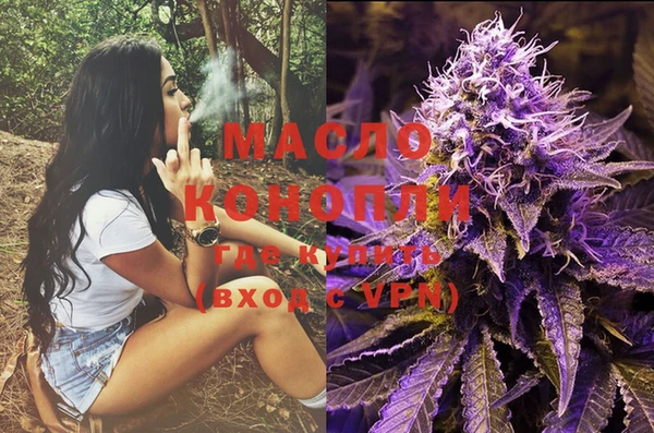 МДПВ Инта