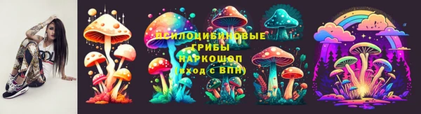 МДПВ Инта