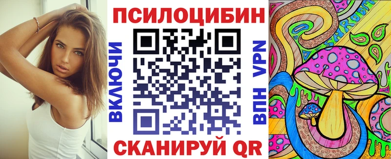 Галлюциногенные грибы Cubensis  Купить  Закаменск 